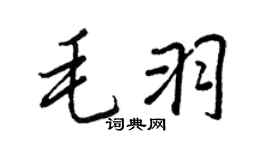 王正良毛羽行書個性簽名怎么寫