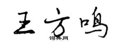 曾慶福王方鳴行書個性簽名怎么寫