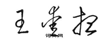 駱恆光王愛想草書個性簽名怎么寫