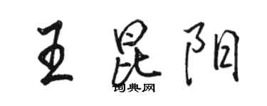 駱恆光王昆陽行書個性簽名怎么寫