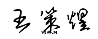 朱錫榮王策煜草書個性簽名怎么寫