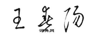 駱恆光王春陽草書個性簽名怎么寫