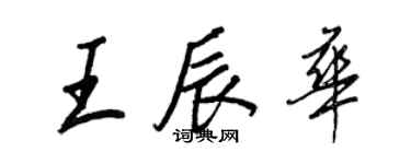 王正良王辰華行書個性簽名怎么寫