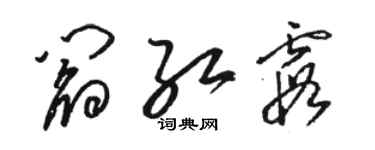 駱恆光閻紅霞草書個性簽名怎么寫