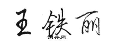 駱恆光王鐵麗行書個性簽名怎么寫