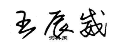 朱錫榮王辰威草書個性簽名怎么寫