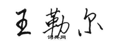 駱恆光王勒爾行書個性簽名怎么寫