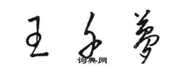 駱恆光王千夢草書個性簽名怎么寫