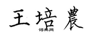 何伯昌王培農楷書個性簽名怎么寫