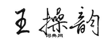 駱恆光王操韻行書個性簽名怎么寫