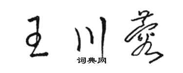 駱恆光王川蓉草書個性簽名怎么寫