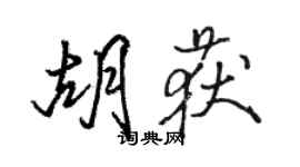 駱恆光胡獲行書個性簽名怎么寫