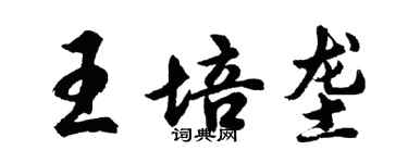 胡問遂王培壟行書個性簽名怎么寫