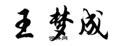 胡問遂王夢成行書個性簽名怎么寫