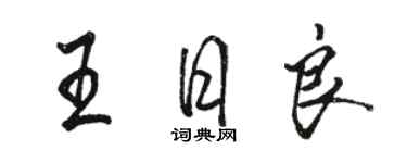 駱恆光王日良行書個性簽名怎么寫