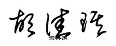 朱錫榮胡佳琪草書個性簽名怎么寫
