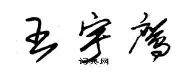 朱錫榮王宇鷹草書個性簽名怎么寫