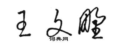 駱恆光王文野草書個性簽名怎么寫