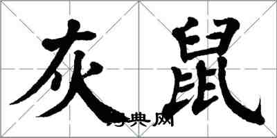 翁闓運灰鼠楷書怎么寫