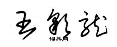 朱錫榮王彩龍草書個性簽名怎么寫