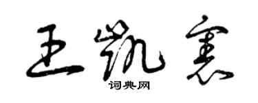 曾慶福王凱憲草書個性簽名怎么寫