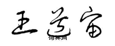 曾慶福王道宙草書個性簽名怎么寫