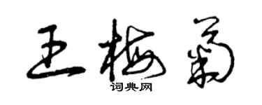 曾慶福王梅菊草書個性簽名怎么寫