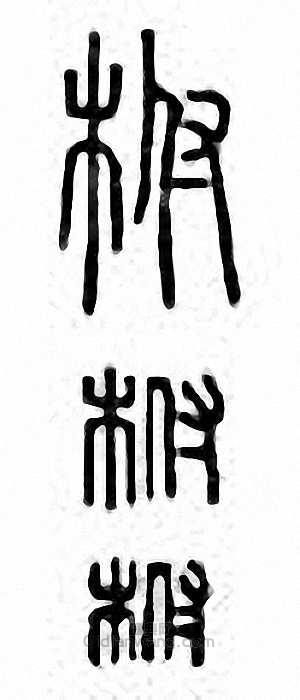 金石大字典的篆刻印章柎