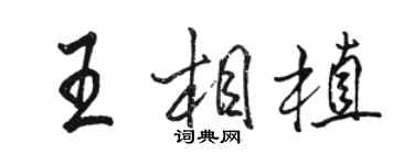 駱恆光王相植行書個性簽名怎么寫