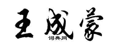 胡問遂王成蒙行書個性簽名怎么寫