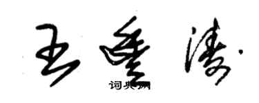 朱錫榮王豐濤草書個性簽名怎么寫