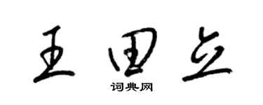 梁錦英王田立草書個性簽名怎么寫