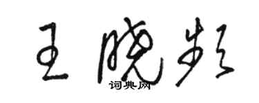 駱恆光王曉頻草書個性簽名怎么寫