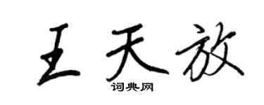 王正良王天放行書個性簽名怎么寫