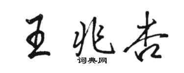 駱恆光王兆杏行書個性簽名怎么寫
