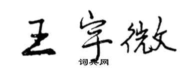 曾慶福王宇微行書個性簽名怎么寫