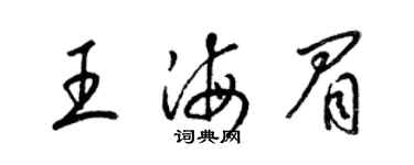 梁錦英王海眉草書個性簽名怎么寫