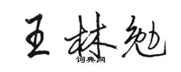 駱恆光王林勉行書個性簽名怎么寫