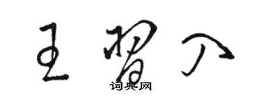 駱恆光王習入草書個性簽名怎么寫