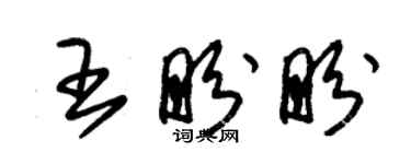 朱錫榮王盼盼草書個性簽名怎么寫