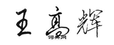 駱恆光王高輝行書個性簽名怎么寫