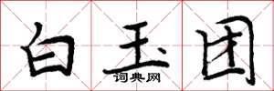 周炳元白玉團楷書怎么寫