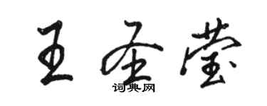 駱恆光王聖瑩行書個性簽名怎么寫