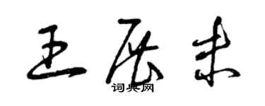 曾慶福王展未草書個性簽名怎么寫