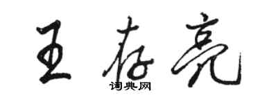 駱恆光王存亮行書個性簽名怎么寫
