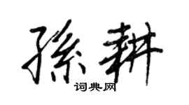 王正良孫耕行書個性簽名怎么寫