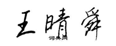 王正良王晴舜行書個性簽名怎么寫