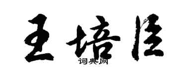 胡問遂王培臣行書個性簽名怎么寫