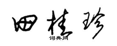 朱錫榮田桂珍草書個性簽名怎么寫