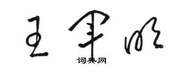 駱恆光王軍明草書個性簽名怎么寫